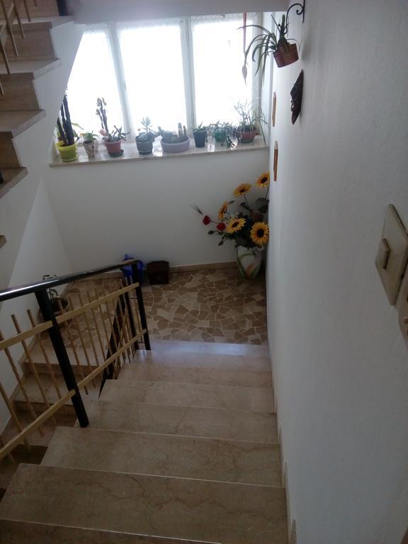 Casa Trettel Διαμέρισμα Tesero Εξωτερικό φωτογραφία